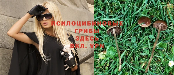 прущие грибы Алексин