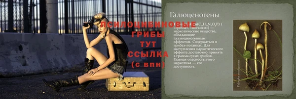 ПСИЛОЦИБИНОВЫЕ ГРИБЫ Вязьма